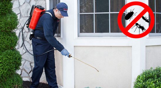 Keles Kene İlaçlama böcek ilaçlama ve haşere kontrolü — ilaclama-tr.com